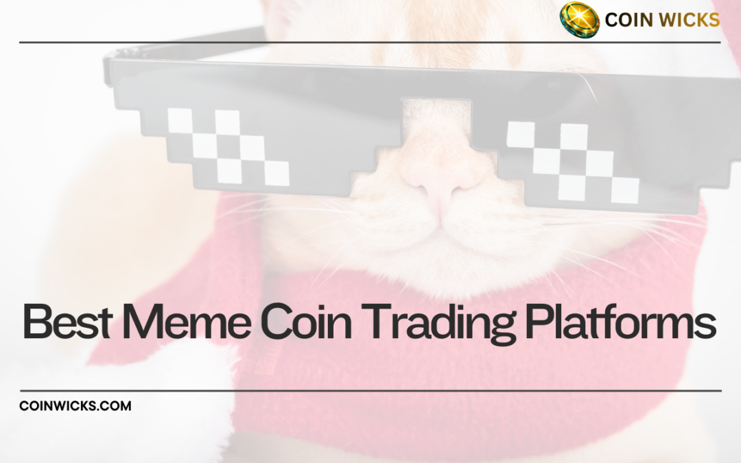 Best Meme Coin Trading Platforms 2026 – Compare Exchanges & DEXs for Meme Coins